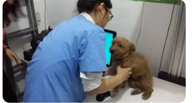 K8官网 - 天生赢家·一触即发