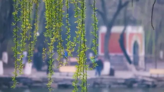 K8官网 - 天生赢家·一触即发