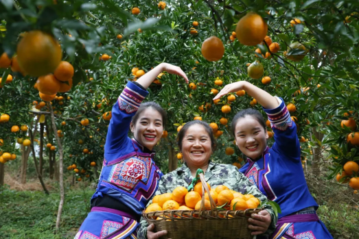 83EB180E6DE4730921A185F4557_372C265E_B2A47.png?e=