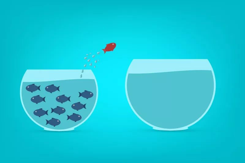 K8官网 - 天生赢家·一触即发