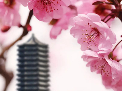 K8官网 - 天生赢家·一触即发