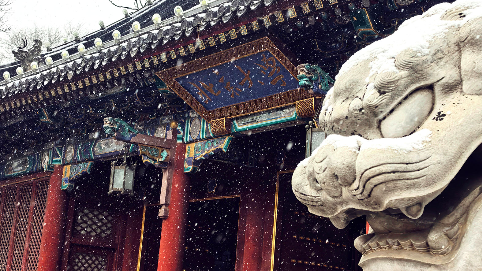 K8官网 - 天生赢家·一触即发